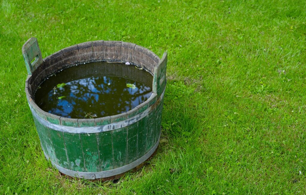 bucket, water, green-3395702.jpg